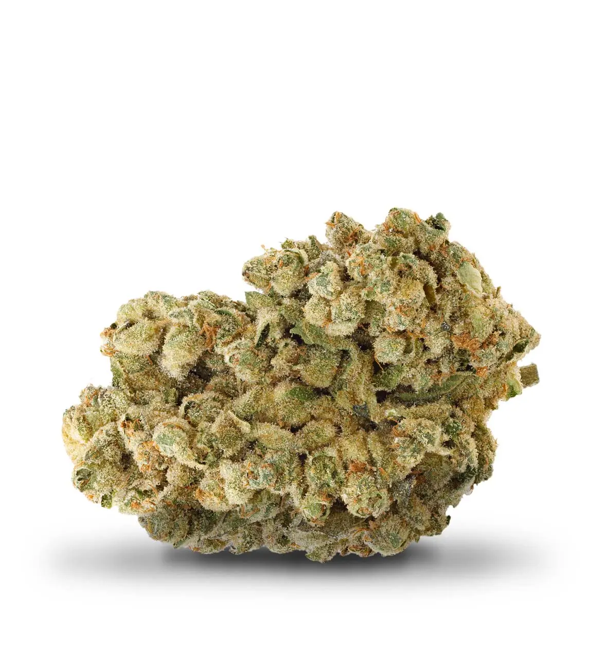 cannabis dried flower